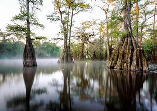 Suwannee River Valley #1