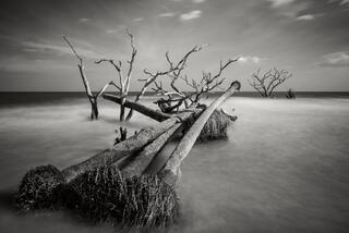Other Places Black and White