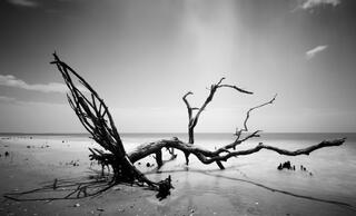 Botany Bay After The Storm #1