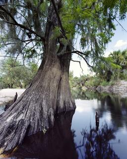 Charlie Creek #1