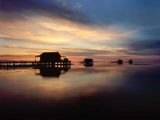 Fish House #1