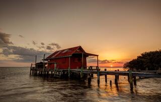 Fish Shack