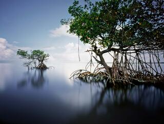 Gullivan Bay #1