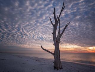 Lovers Key #11