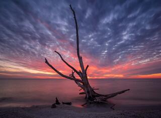 Lovers Key #5