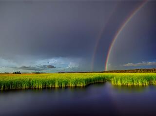 Rainbow Over the River of Grass