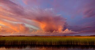 Tamiami Trail #4