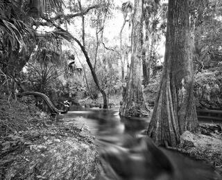 Telegraph Creek #2