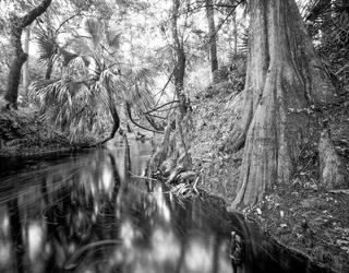 Telegraph Creek 3
