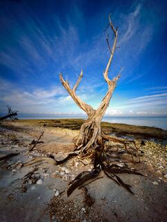Turkey Key #3