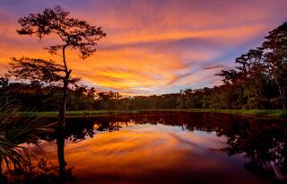 Fisheating Creek Sunset
