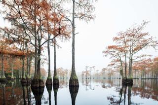 Georgia Lake #2