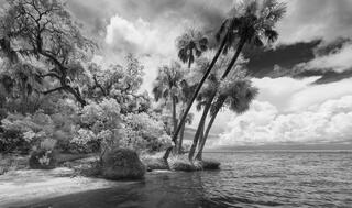 St. Vincent Island #2