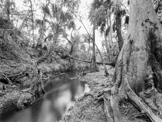 Telegraph Creek 8