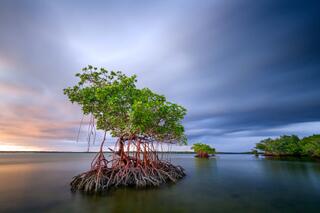 Ten thousand Island Storm #5