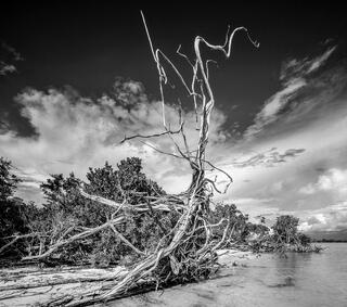 Ten Thousand Islands 8