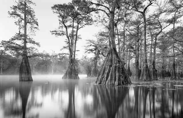 The Florida Gallery