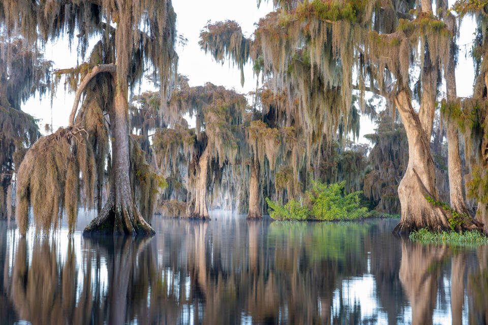 Cypress Lake in fall