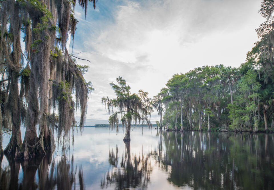 Crescent Lake #4