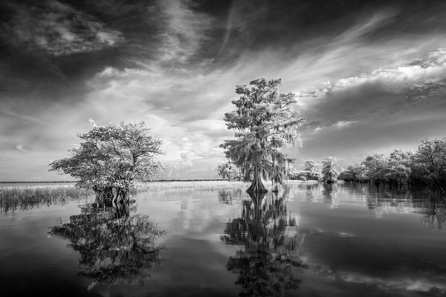 The Stillness