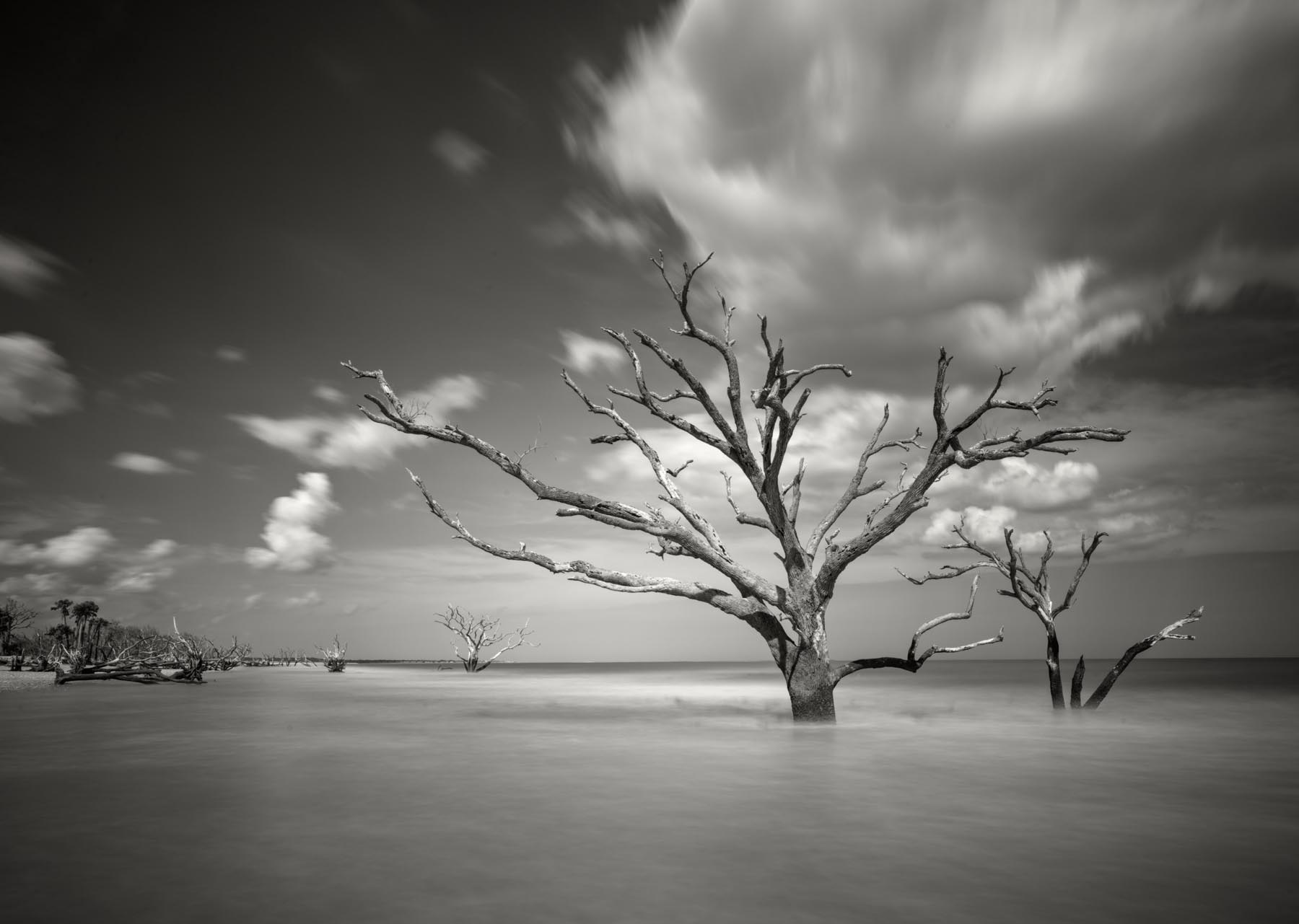 Botany Bay is a beach area located on Edisto Island South of Charleston South Carolina. This driftwood beach has been left undisturbed...