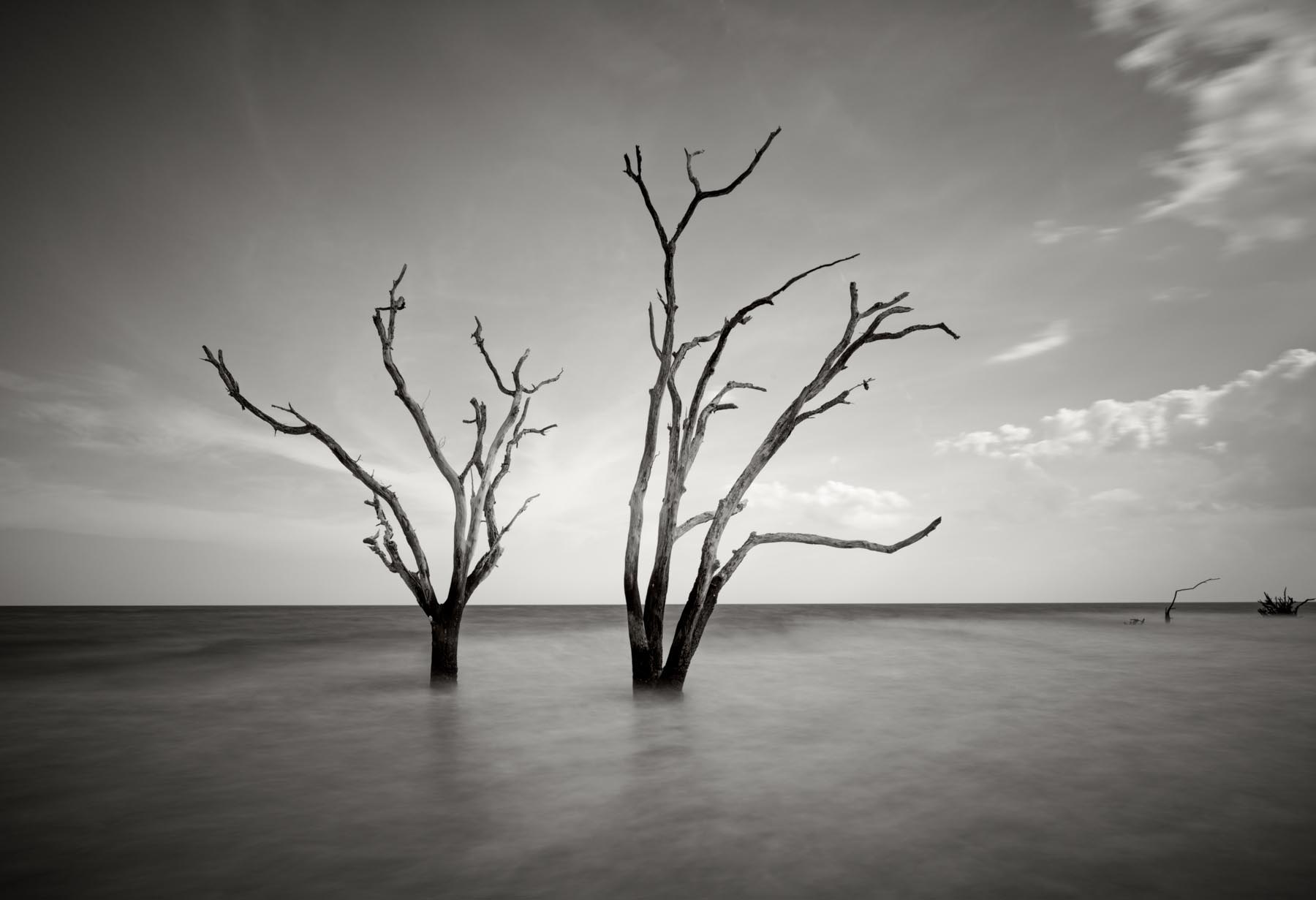 Botany Bay #11