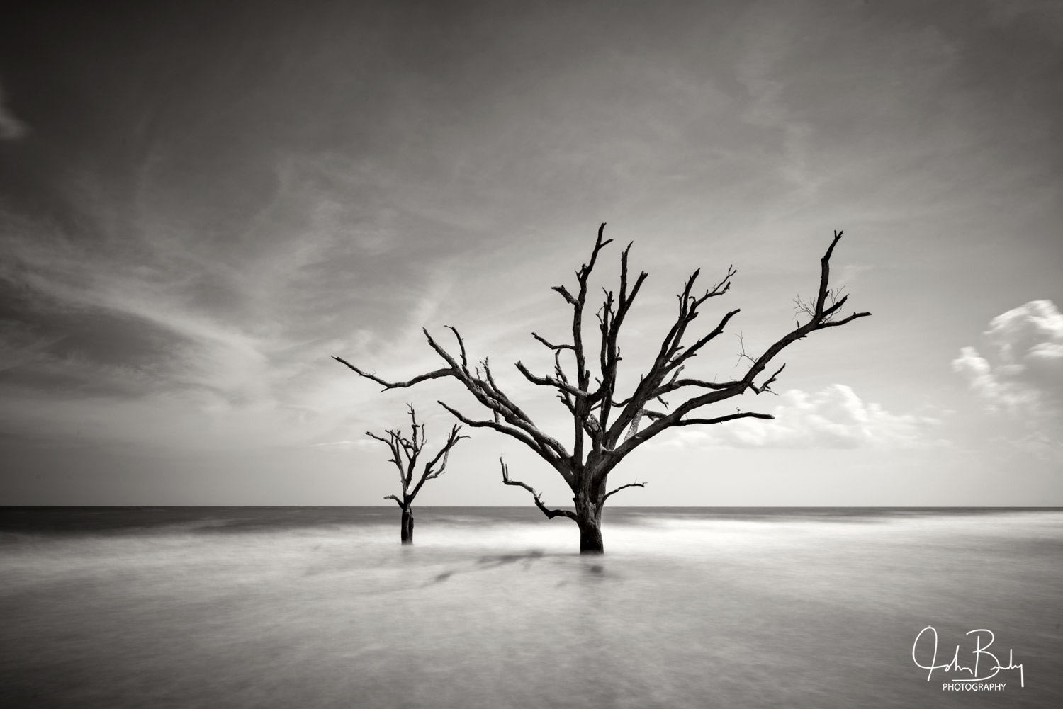 Botany Bay is a beach area located on Edisto Island South of Charleston South Carolina. This driftwood beach has been left undisturbed...