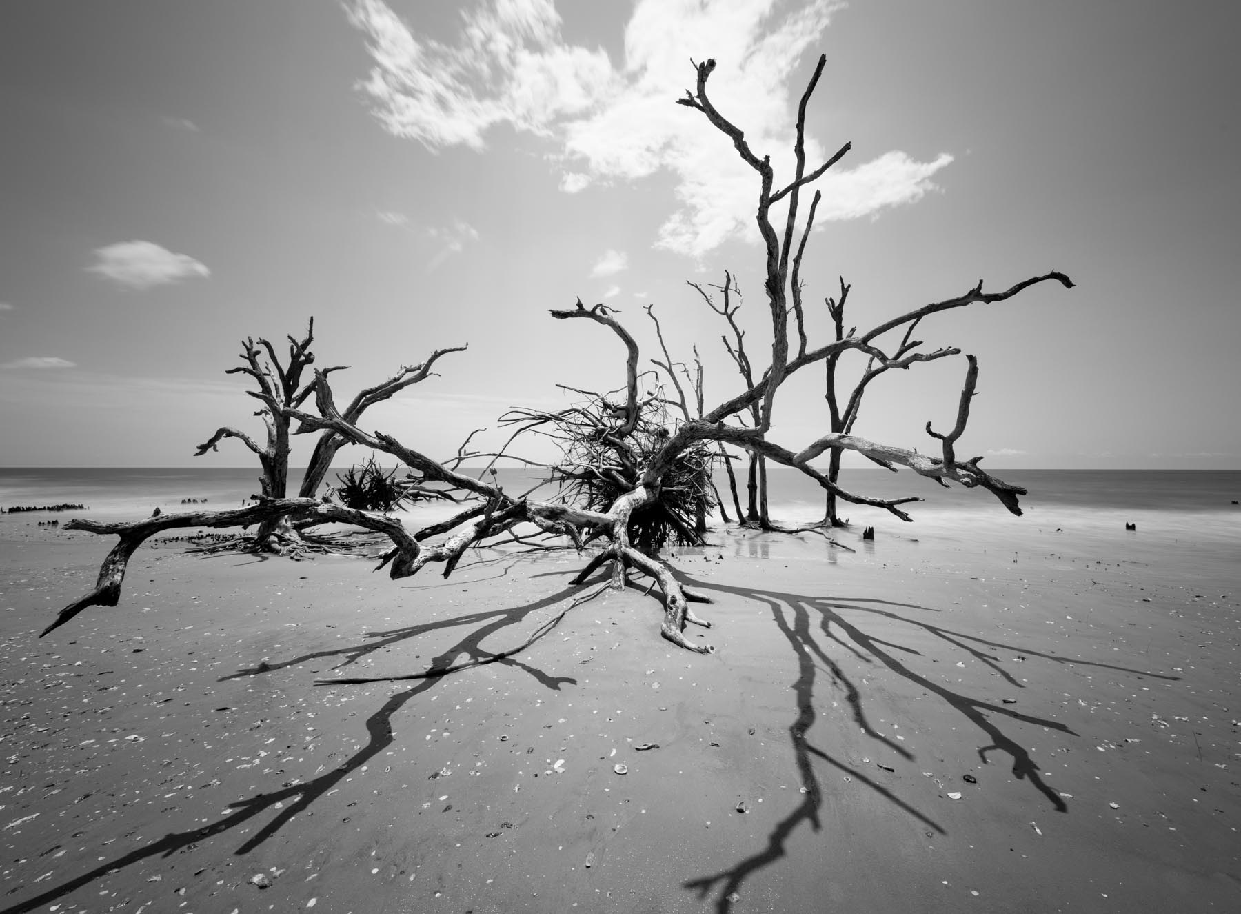 Botany Bay #4