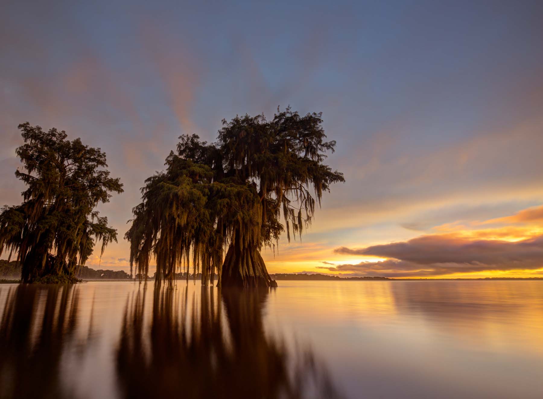 Cypress Sunset #6