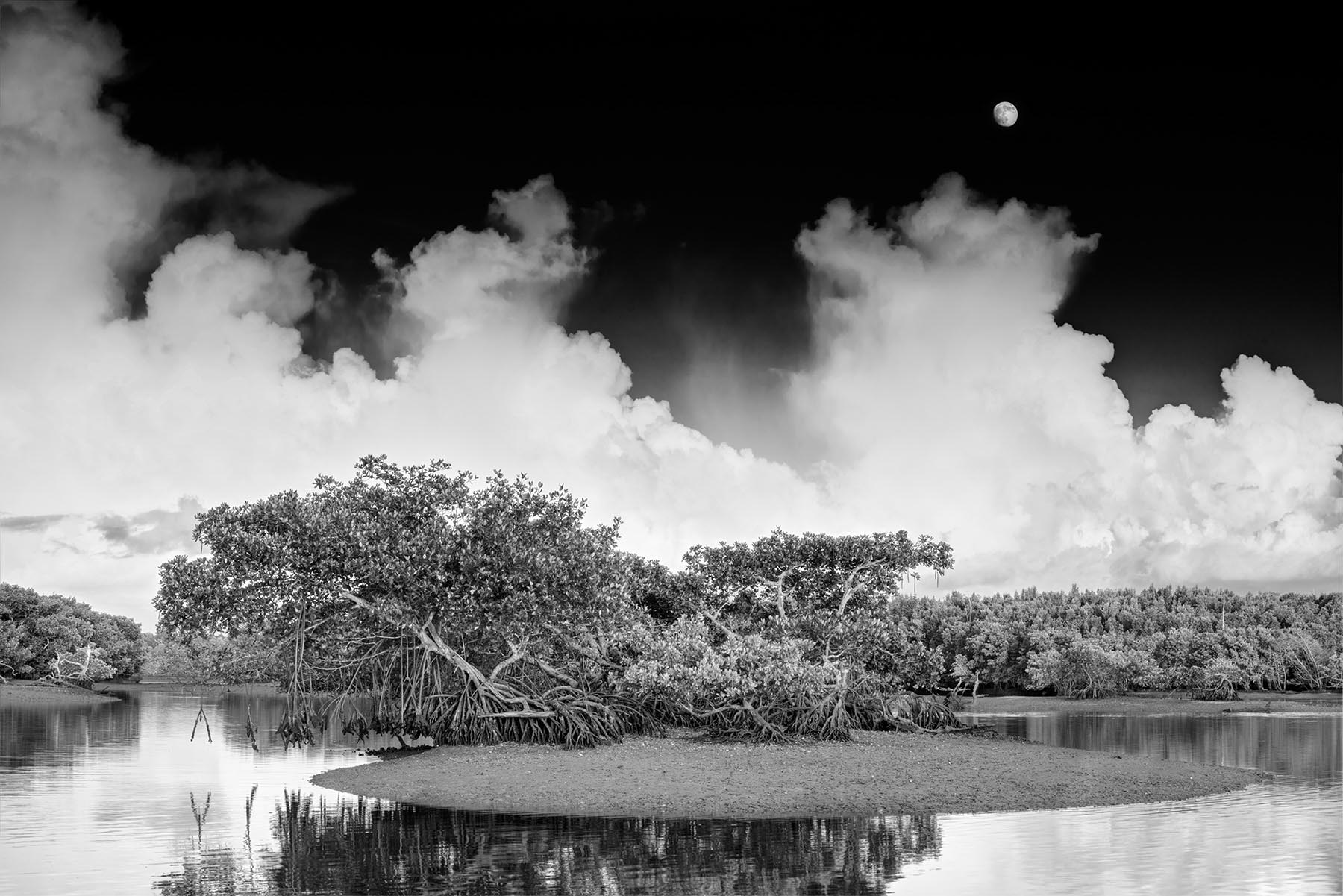 TEN THOUSAND ISLANDS NATIONAL WILDLIFE REFUGE The Ten Thousand Islands is located in Collier County, Florida. The Wildlife Refuge...