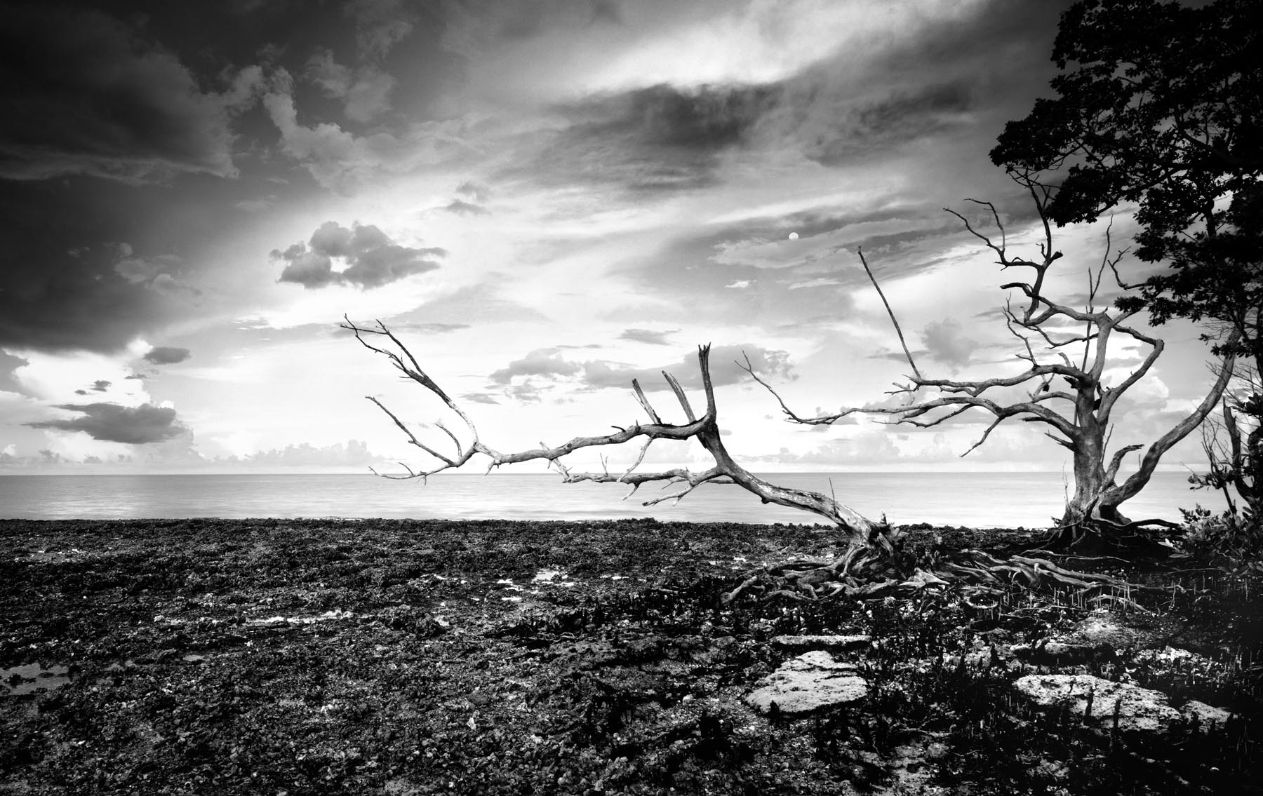 TEN THOUSAND ISLANDS NATIONAL WILDLIFE REFUGE The Ten Thousand Islands is located in Collier County, Florida. The Wildlife Refuge...