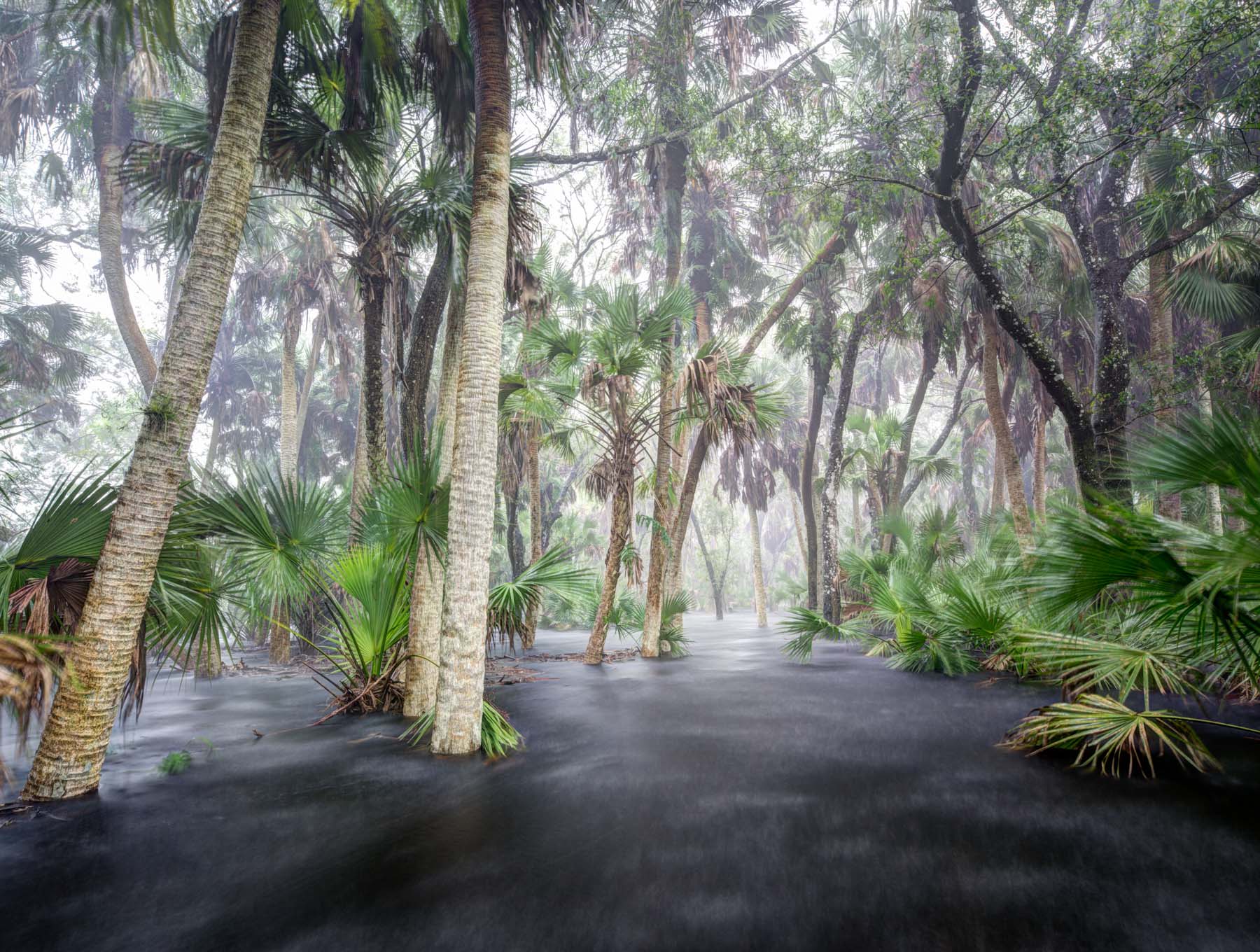 Myakka River State Park is one of the oldest and largest state parks in Florida, Myakka protects one of the state's most diverse...
