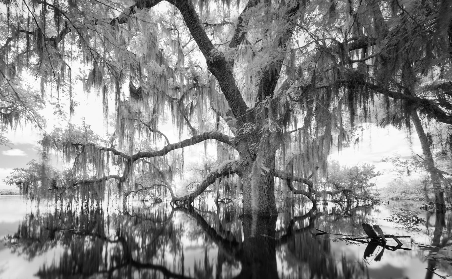 Myakka River State Park is one of the oldest and largest state parks in Florida, Myakka protects one of the state's most diverse...