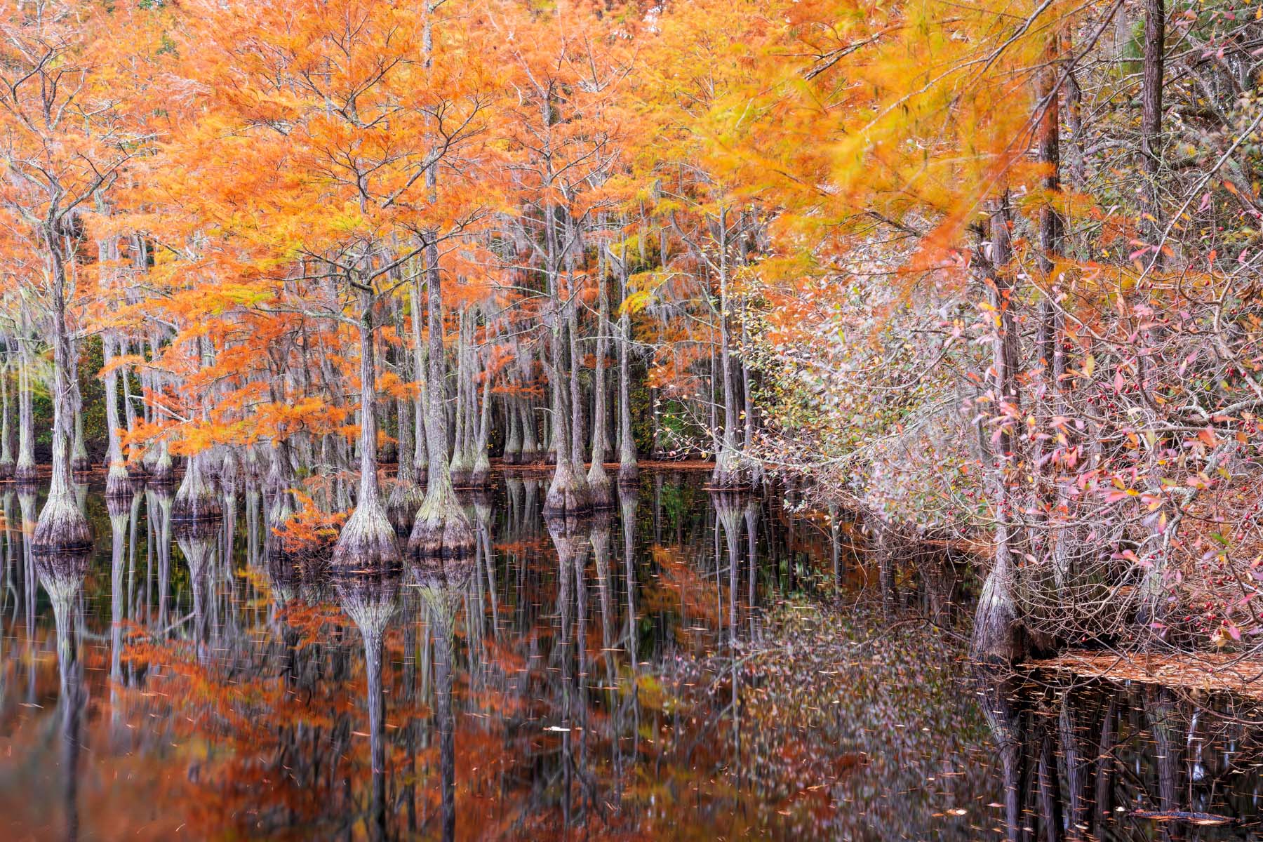Georgia Lake #7