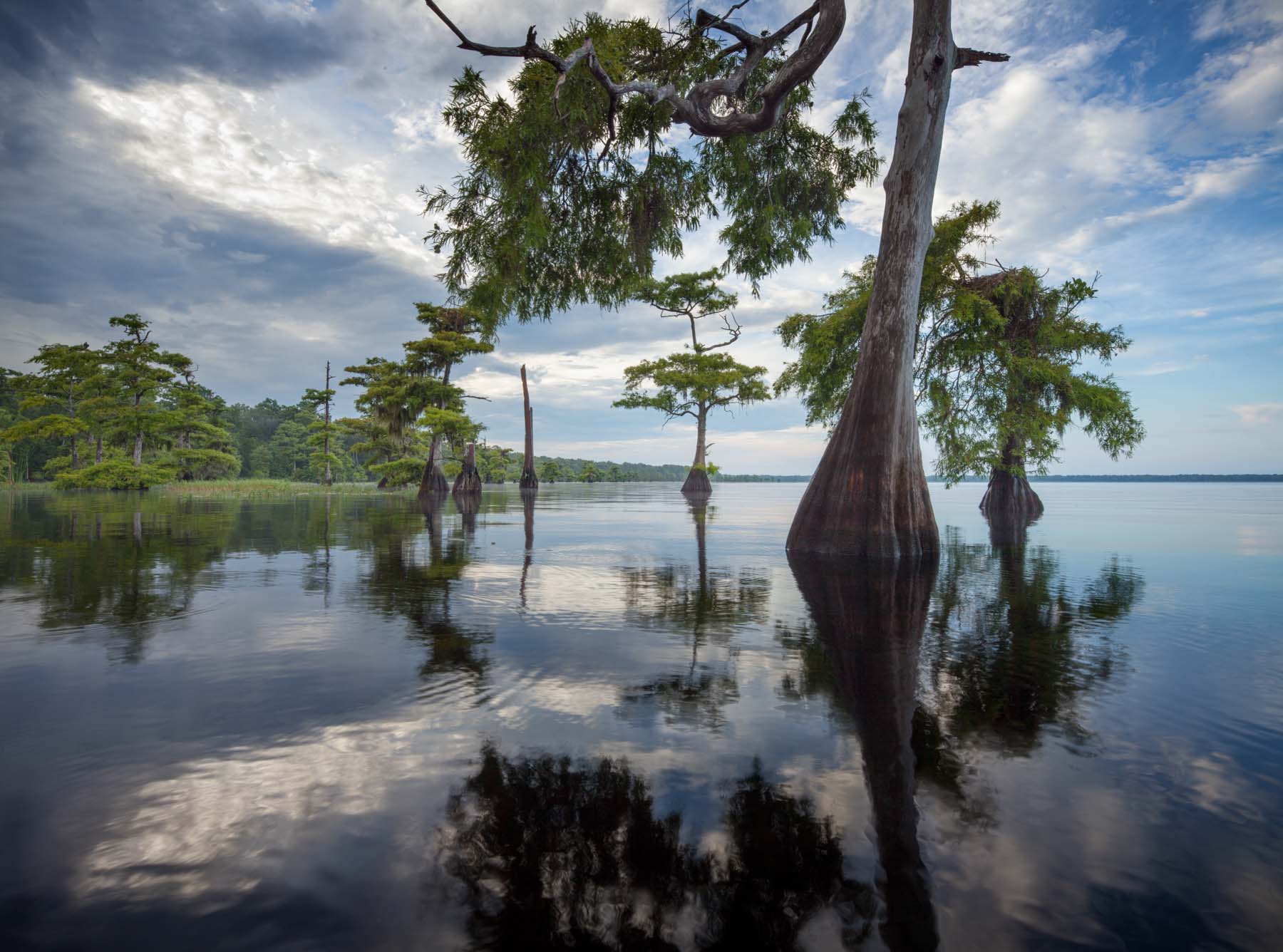 Blue Cypress Lake Is located North of Lake Okeechobee and West of Vero Beach, just outside of the booming town of Yehaw Junction...