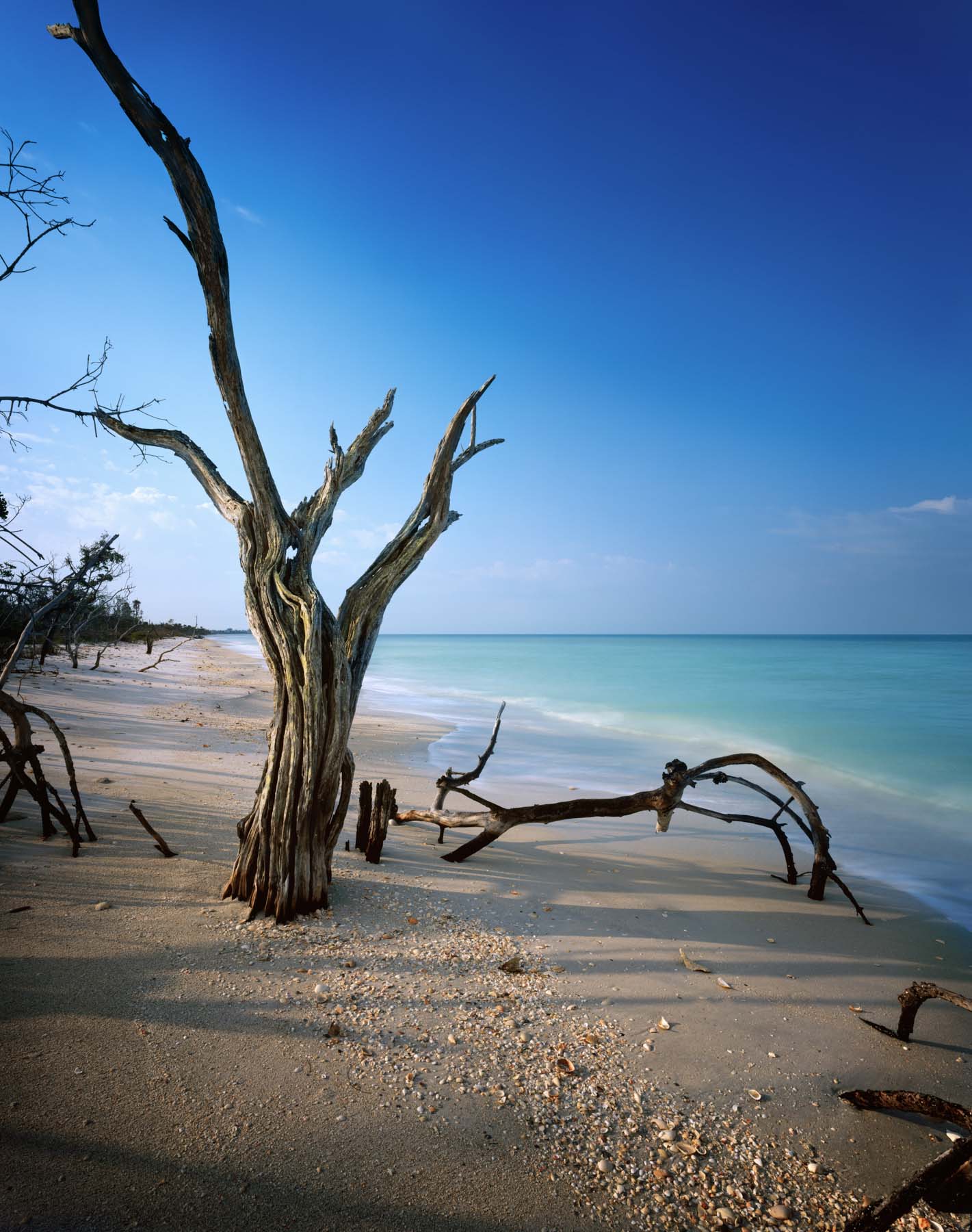 Cayo Costa #3