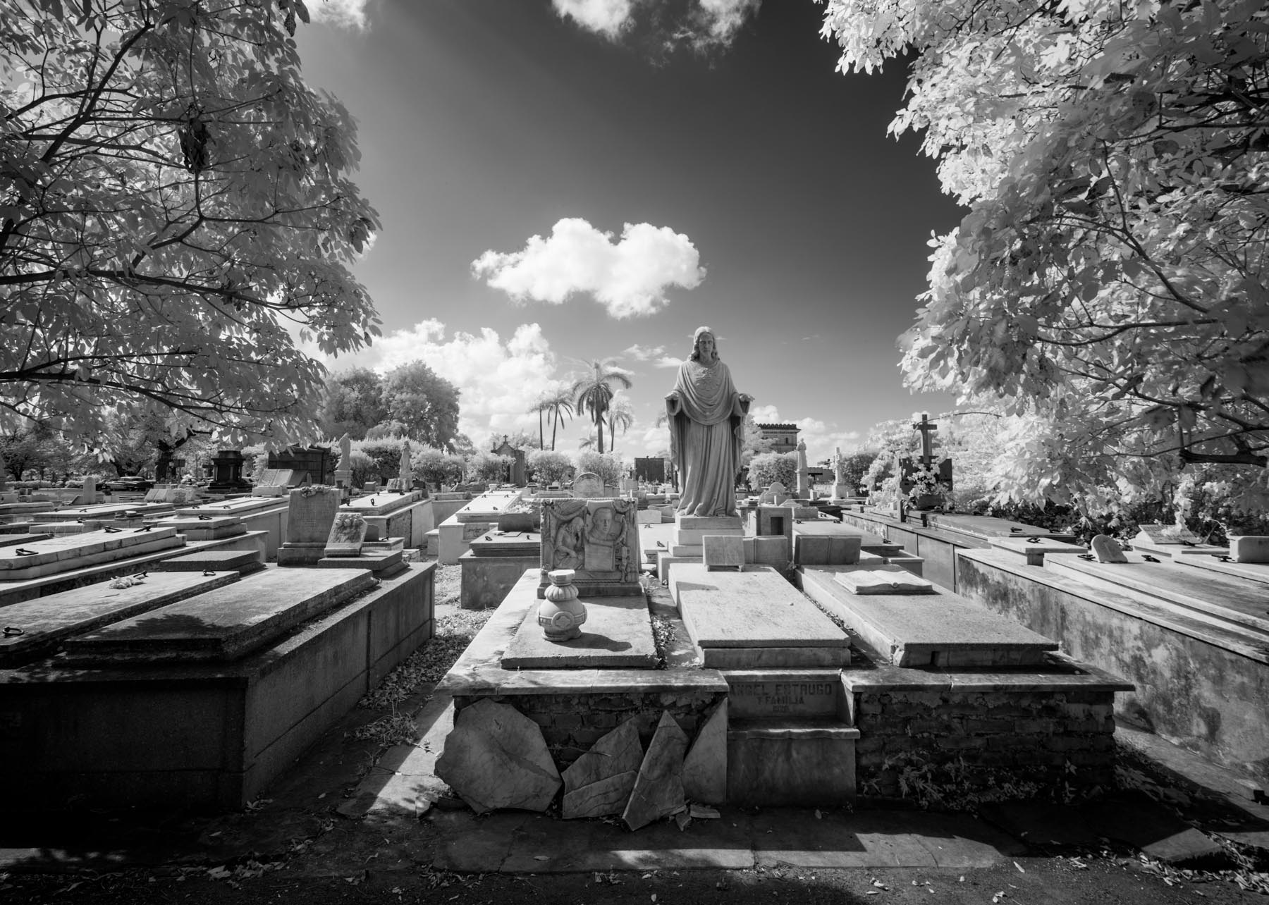 Cuba National Cemetary #3