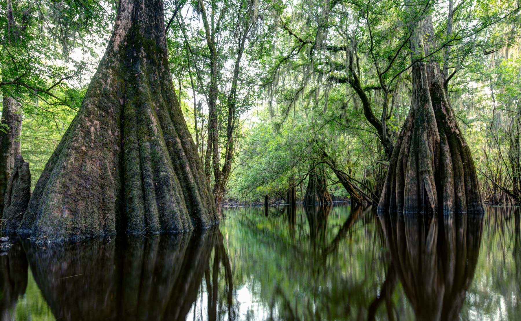 Suwannee River Valley #21