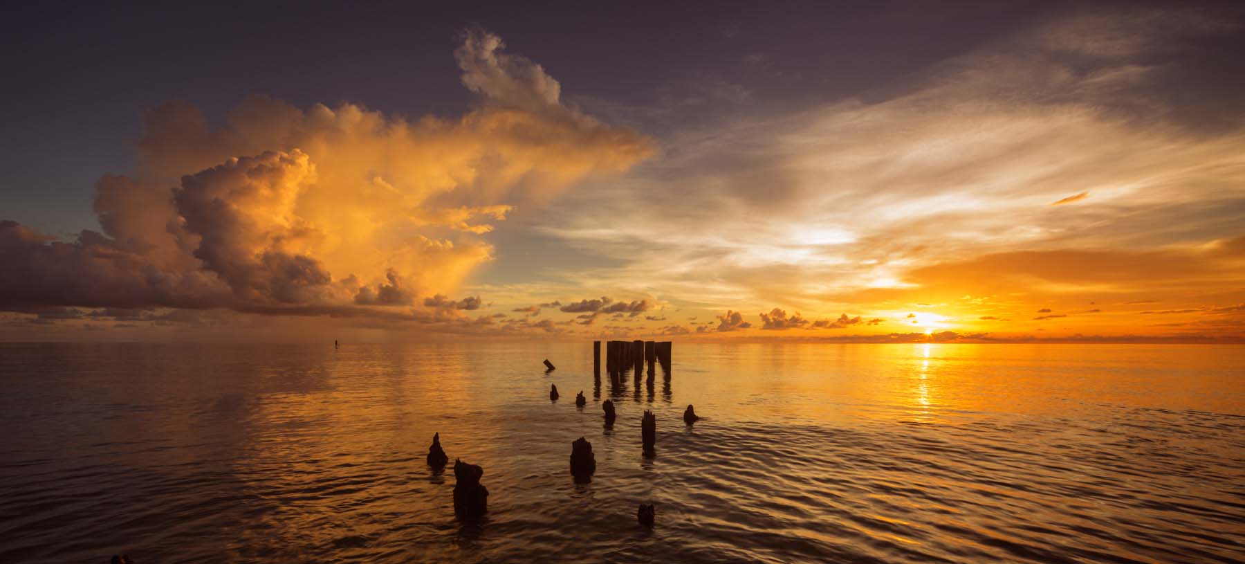 Pilings #1