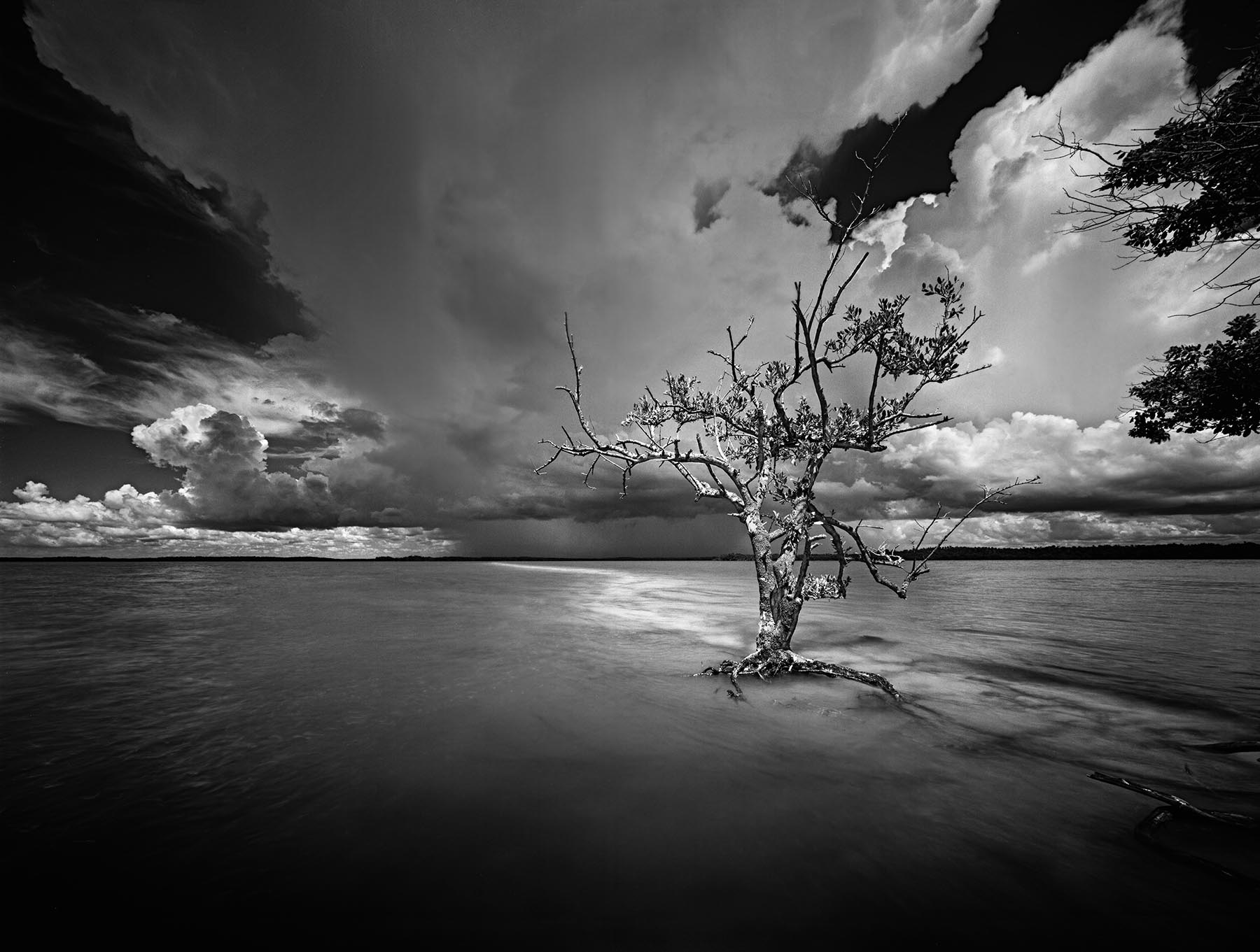 Round Key #1 TEN THOUSAND ISLANDS NATIONAL WILDLIFE REFUGE The Ten Thousand islands are located all along the southern peninsula of Florida...