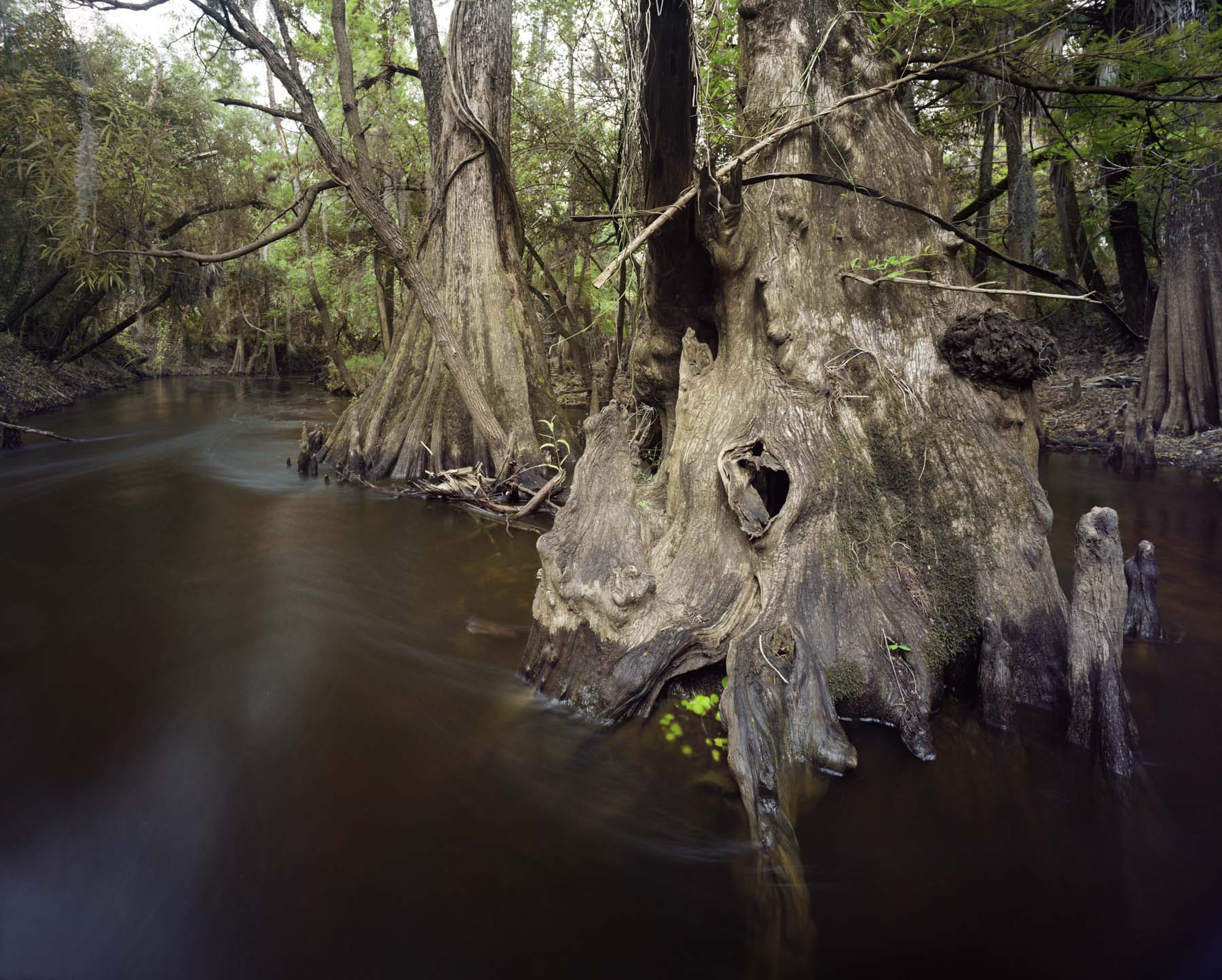 Shell Creek #3
